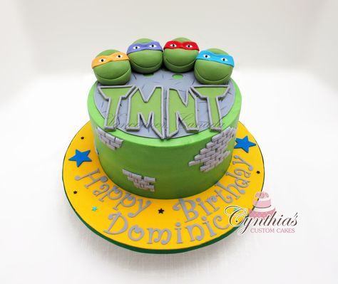 For Dominic on Cake Central Ninja Turtles Cake, Turtles Cake, Ninja Cake, Lincoln Birthday, Tmnt Party, Ninja Turtle Cake, Cake With Fondant, Turtle Cake, Cake Buttercream