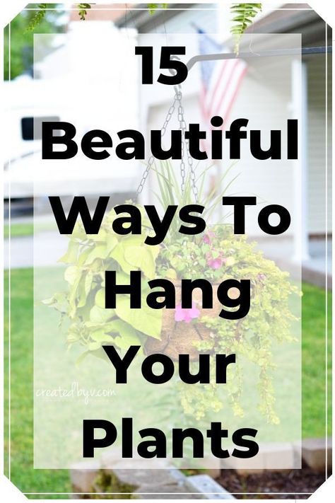 Hanging Plants Garden, Backyard Sandbox, Vase Project, Hanging Plants Outdoor, Hometalk Diy, Hanging Plants Diy, Plants Hanging, Backyard Playhouse, Plants For Hanging Baskets