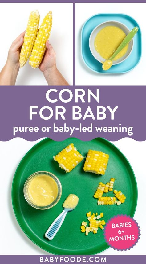 Corn Puree Baby, Corn Puree Recipe, Baby First Food, Beans For Babies, Corn Flour Recipes, Corn Puree, Pea Baby Food, Meal Plan For Toddlers, First Finger Foods