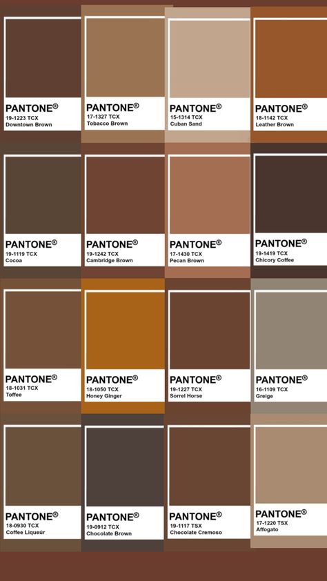 #pantone #autumn #colorinspo Coffee Pantone Colors, Shades Of Brown Pantone, Pantone Coffee Color, Autumn Pantone Palette, Brown Pantone Palette, Coffee Pallete Color, Pantone Brown Shades, Cafe Colour Palette, Brown Pantone Color