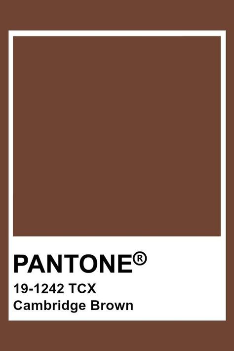 Pantone Swatches Brown, Earth Brown Color, Pantone Chocolate Brown, Brown Colour Pantone, Brown Swatches Colour Palettes, Downtown Color Palette, Pantone Colors Brown, Brown Pantone Palette, Pantone Brown Shades