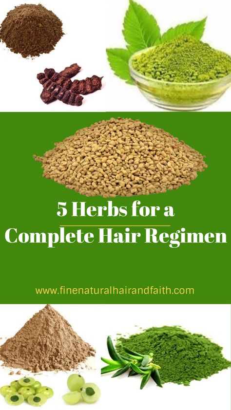 herbs for hair care regimen Faith Growth, Ayurveda Hair Care, Haircare Natural, Ayurveda Hair, Herbal Hair Care, Ayurveda Beauty, Herbs For Hair Growth, Ayurvedic Hair Care, Hair Conditioning