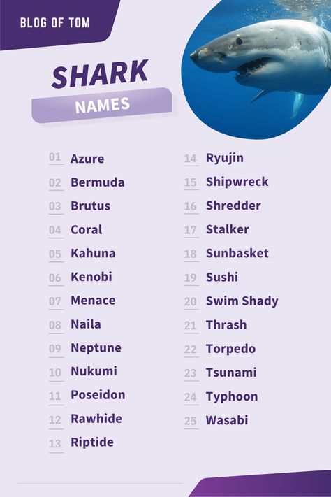 Shark Names Ideas, Names For Mermaids, Mythical Creature Names, Snake Names, Shark Names, Norse Names, Cute Pet Names, Pet Shark, Welsh Names