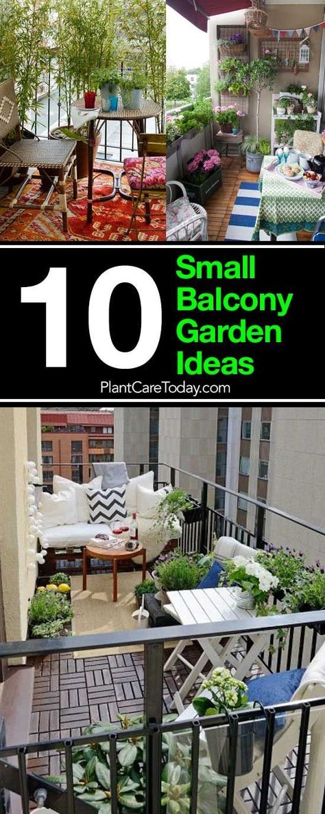 Luckily, even a tiny patio or small balcony garden, can transform into a small patch of paradise. Apartment Patio Gardens, Tiny Patio, Ideas Terraza, Balcony Garden Ideas, Balkon Decor, Tiny Balcony, Patio Flowers, Small Balcony Garden, Small Patio Garden