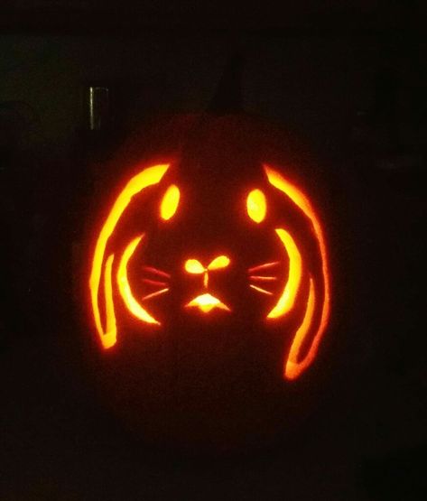 Bunny Carved Pumpkin, Bunny Jack O Lantern, Bunny Pumpkin Carving Ideas, Rabbit Pumpkin Carving, Miffy Pumpkin Carving, Bunny Pumpkin Carving, Halloween Carving Ideas, Rabbit Pumpkin, Pumpkin Carving Inspo