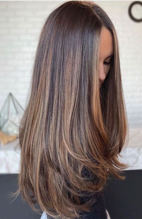 Balayage Straight Hair, Golden Brown Hair Color, Brown Straight Hair, Rambut Brunette, Golden Brown Hair, Brown Hair Looks, Brown Hair Inspo, Brunette Hair With Highlights, Hairstyles For Layered Hair