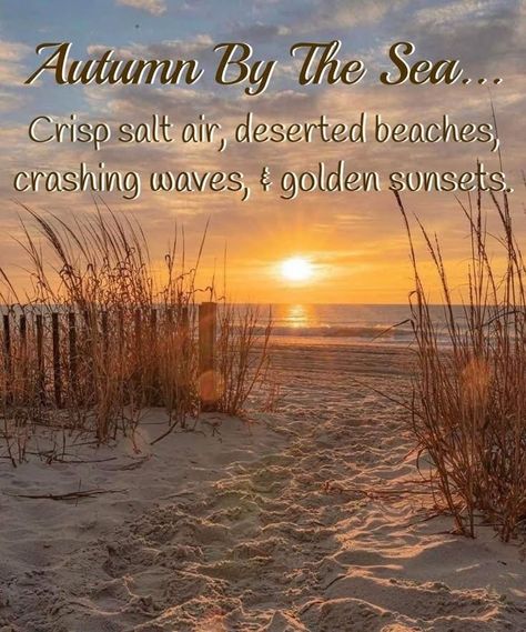 Fall Beach Quotes, Autumn Beach, Fall Beach, Beach Furniture, Winter Leaves, Beach Place, Beach Holidays, I Love The Beach, Beach Quotes