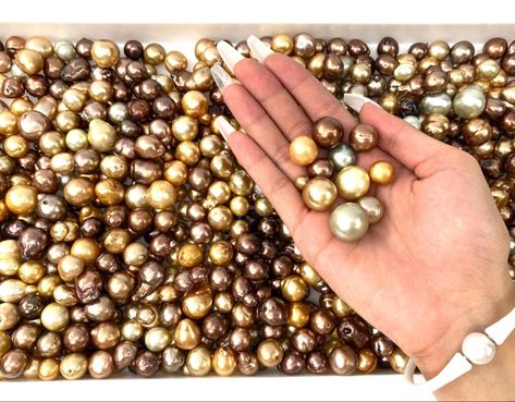 GO TO LINK Chocolate Pearls, Pearl Jewelry Design, Golden South Sea Pearls, Saltwater Pearls, Loose Pearls, Chocolate Color, South Seas, Pearl Types, Sea Pearls