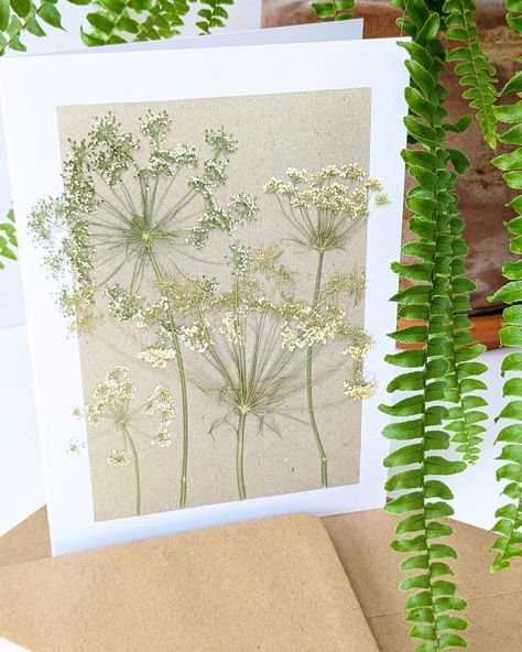 Pressed Flowers Cards, Pressed Flower Cards, Dried Flowers Crafts, Flower Luxury, Flower Pressing, Art Gift Ideas, Pressed Botanicals, Wedding Bouquet Preservation, Pressed Flower Crafts