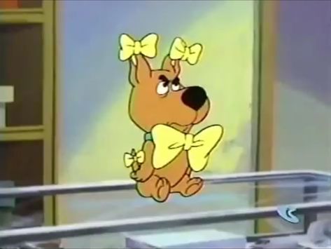 Scrappy Scooby Doo, Scooby Doo And Scrappy Doo, Scooby Doo Pfps, Scooby Doo Pfp, Aidan Core, Scooby Dog, Scooby Doo Pictures, Scooby Doo Mystery Inc, Scooby Doo Images