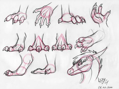 Dragon legs and arms Tutorial by Natsuakai on DeviantArt Dragon Hands, Drawing Dragons, Drawing Figures, Dragon Poses, Dragon Anatomy, Drawing Dragon, Výtvarné Reference, Drawing Eyes, Dragon Sketch