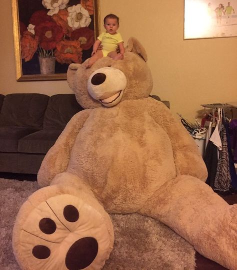 Grandpa Gets Granddaughter Ridiculously Huge Teddy Bear, And The Internet Just… Teddy Bear Plushies, Costco Bear, Huge Teddy Bears, Baby Bear Cub, Large Teddy Bear, Plushies Cute, Big Teddy Bear, Big Teddy, Giant Teddy Bear