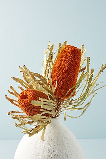 Statement Vase, Australian Flowers, Protea Flower, Australian Native Flowers, Australian Flora, Dried Bouquet, Dry Creek, Wedding Arrangements, Dried Floral