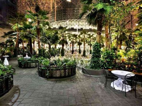 Illinois Wedding Venues, Illinois Wedding, Garden Venue, Dream Venue, Crystal Garden, Historic Wedding, Chicago Wedding Venues, Garden Wedding Venue, Sustainable Wedding