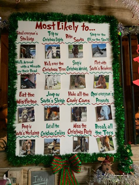 Big hit in the Christmas stall decorating contest this year. Christmas Stall Decorations, Christmas Horse Stall Decorating Ideas, Horse Stall Christmas Decorations, Horse Stall Decorations, Stalls Ideas, Christmas Stall Ideas, Stall Decorations, Christmas Barn, Barn Stalls