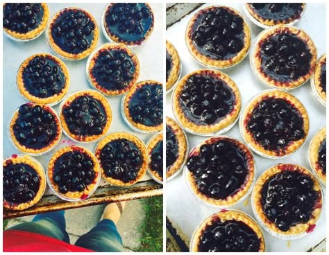 Super Simple Blueberry Tarts - Dinner With Julie Saskatoon Tarts, Saskatoon Berry Pie, Blueberry Tart Recipe, Frozen Tart Shells, Blueberry Tarts, Kitchen Science Experiments, Saskatoon Berry, Blueberry Tart, Tarts Recipe