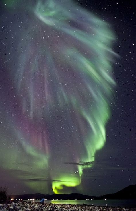 National Geographic's Visions of Earth Nick Kroll, National Geographic Photography, Dream Jobs, Our Earth, Solar Wind, Kansas State, Community Engagement, Green Gems, National Geographic Photos