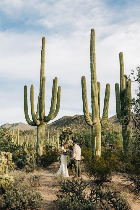 Private Vows, Tucson Wedding, Saguaro National Park, Joshua Tree Wedding, Arizona Wedding Venues, How To Elope, Arizona Photographer, National Park Wedding, Bridal Photoshoot