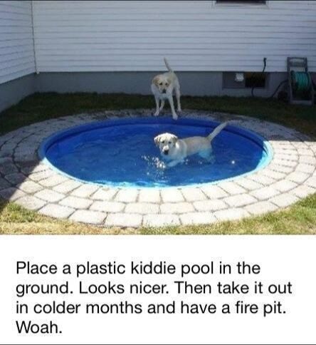 Good idea for my future home Dog Pool Diy, Dog Pond, Dog Backyard, Dog Yard, Dog Pool, Kiddie Pool, Diy Fire Pit, Backyard Fire, Dogs And Kids