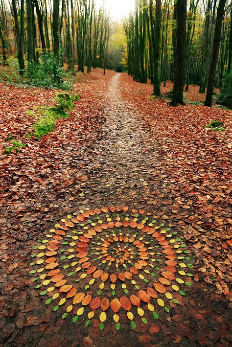 Minwear woods, Pembrokeshire Jon Foreman, Flower Mandalas, Wanna Call, Nature Mandala, Ephemeral Art, Autumn Magic, Earth Art, Leaf Nature, Nature Crafts