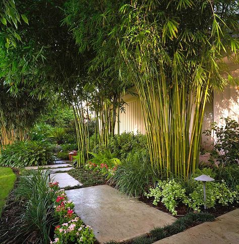 Tropical Landscape Design, Japanese Garden Landscape, Tropical Garden Design, Asian Garden, Japanese Garden Design, Bamboo Garden, Walled Garden, Garden Edging, Small Garden Design