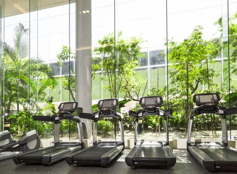 Power generating exercise machines! Spa Layout, Gym Cafe, Garden Gym, Exercise Machines, Green Gym, Cardio Machines, Jungle Gym, Wellness Inspiration, Gym Design