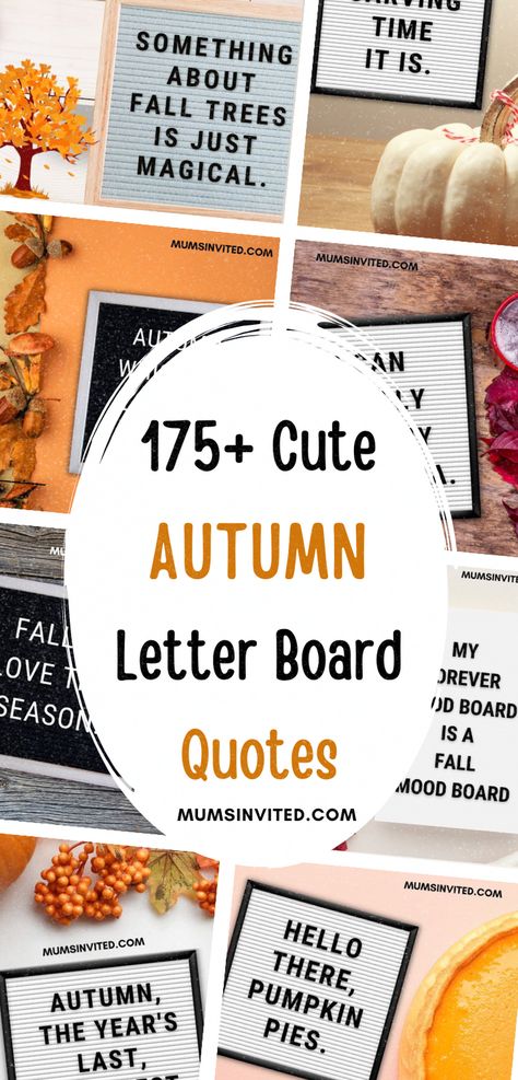 Explore this collection of Fall, Autumn Letter Board Quotes. Discover a variety of funny and cute, short sayings, perfect for bringing a touch of wit and fun to your space. These quotes, themed for September through November, are perfect for early autumn moods or almost-Thanksgiving anticipation. For the kids find adorable Halloween quotes to delight. Football lovers will find a score of catchy phrases to celebrate the season. These fall letterboard quotes are perfect for any autumn occasion. Cute Short Sayings, Fall Letterboard Quotes, Fall Letterboard, Fall Letter Board, Fall Season Quotes, Funny Fall Quotes, Fall Sayings, September Quotes, Letterboard Signs