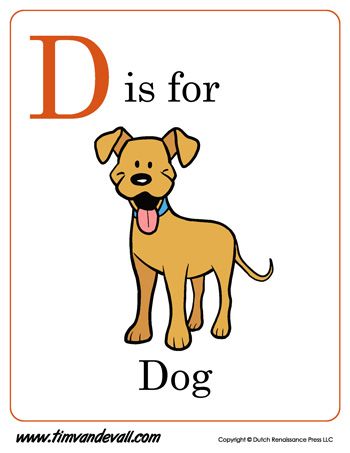 Dog Flashcard, Letter D Coloring Page, D Coloring Page, D For Dog, Apple Letters, D Is For Dog, Alphabet Letter Worksheets, Dog Printable, Cvc Words Kindergarten