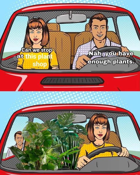 Plant Jokes, Bye Felicia, Plant Parent, Plants Are Friends, Diy Backyard Landscaping, Bedroom Plants, Plant Aesthetic, Creative Gardening, Random Memes