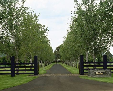 Long Gravel Driveway Landscaping, Farmhouse Driveway Entrance Ideas, Homestead Homes, Property Entrance, Farm Gates Entrance, Gated Driveway, Acorn Decor, Acreage Landscaping, Driveway Entrance Landscaping