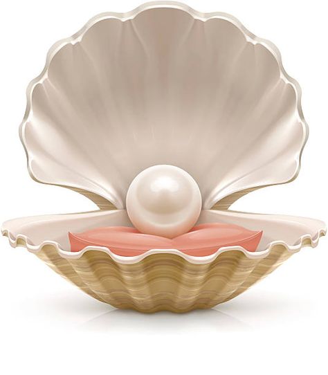 3,353 Oyster With Pearl Illustrations, Royalty-Free Vector Graphics & Clip Art - iStock Illustration Mignonne, Art Mignon, Oyster Pearl, Mermaid Cakes, 문신 디자인, Pearl Design, Pearl Shell, Free Vector Graphics, Free Vector Art