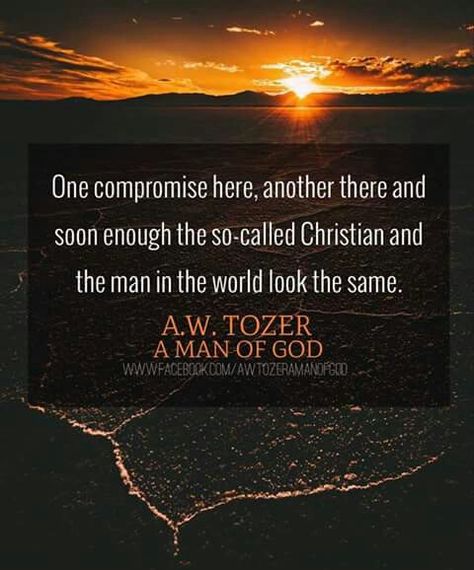 Absolutely the truth! Lukewarm Christian, Aw Tozer Quotes, Tozer Quotes, Aw Tozer, A W Tozer, Spiritual Mentor, Magazine Editor, Reformed Theology, Soli Deo Gloria