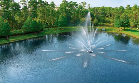 Vertex Water Features Announces New Brand Salt Water Quotes, Lake Fountain, Back Garden Landscaping, Floating Fountain, Pond Water Features, Pond Fountains, Fountain Design, Pond Landscaping, Waterfalls Backyard