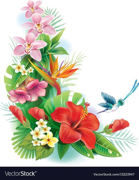 Tropical Flowers Illustration, Tropical Flowers Bouquet, Christmas Clipart Free, Alice In Wonderland Clipart, Flower Bouquet Drawing, Flower Clipart Png, Tropical Flower Arrangements, Floral Wreath Design, Free Clipart Images