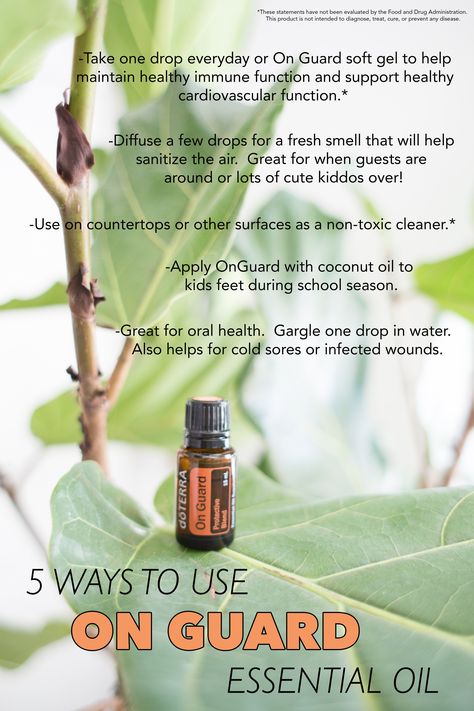 5 Ways to Use On Guard Essential Oil in your Everyday Life Balsam Fir Essential Oil Benefits, Doterra Fall Diffuser Blends On Guard, Benefits Of Bergamot Essential Oil, Benefits Of Thieves Essential Oil, Antiviral Diffuser Blend, On Guard Essential Oil, Onguard Doterra, Aroma Oil, Essential Oil Benefits