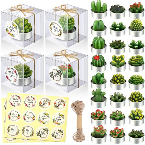 Plant Party Favors, Fiesta Party Favors, Cactus Candles, Succulents Candles, Candle Plant, Plant Party, Fiesta Birthday, Tealight Candles, Christmas Baby Shower