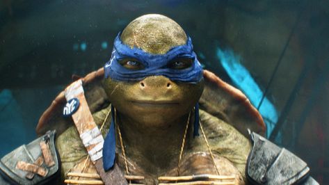 Netflix has finally released its initial trailer for the movie of Rise of Teenage Mutant Ninja Turtles: The… The post Netflix Releases The Teenage Mutant Ninja Turtles: The Movie First Trailer appeared first on Animated Times. Leonardo Turtle, Ninja Turtles 2014, Leonardo Ninja Turtle, Turtle Images, Ninja Turtles Movie, Tmnt Movie, Tmnt Leo, Leonardo Tmnt, Teenage Mutant Ninja Turtles Art