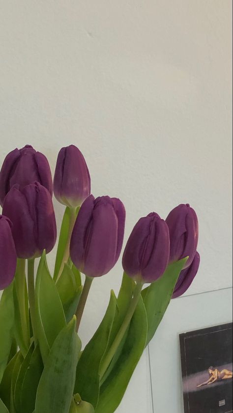 Flowers White Tulips, Flower Screensaver, Cute Pfp, Aesthetic Shorts, Boquette Flowers, 1 Aesthetic, Nothing But Flowers, Purple Tulips, Flowers Aesthetic