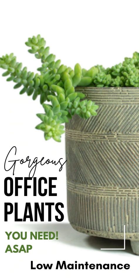 Work Desk Organization Ideas, Desk With Plants, Plant Office Decor, Work Desk Organization, Desk Organization Ideas, Productivity At Work, Plants Office, Something Green, Happy At Work