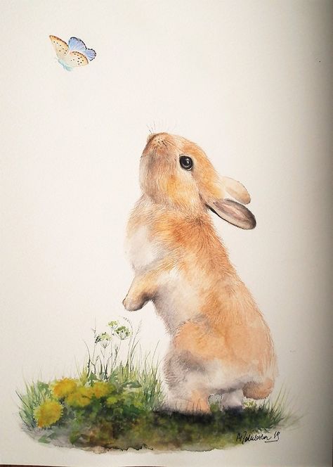 Lapin Art, Bunny Watercolor, Rabbit Drawing, Bunny Painting, Draw Animals, Bunny Drawing, Bunny Pictures, Rabbit Art, Desenho Tattoo