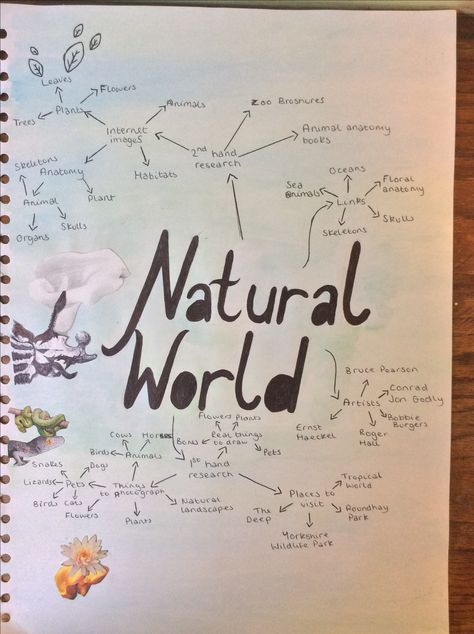 GCSE art 'Natural world ':ideas page My World Gcse Art, Nature Mind Map Art Gcse, Gcse Art Environment Title Page, Fragments Mind Map Gcse Art, Natural World Art Gcse Title Page, Our World Photography Gcse, Natural World Art Gcse, Art Sketchbook Flowers, Gcse Art Annotation