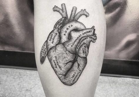 Anatomical Heart Tattoos, Realistic Heart Tattoo, Anatomical Tattoos, Realistic Heart, Anatomy Tattoo, Tato Paha, Woodcut Tattoo, Dream Catcher Tattoo Design, Famous Tattoo Artists