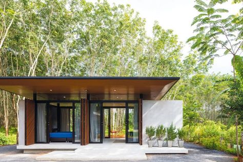 Compact House in a Rubber Forest // Living ASEAN Small Tropical House, Thai House Design, Modern Tropical House, Tropical House Design, Thai House, Compact House, Rest House, Modern Beach House, Tropical House