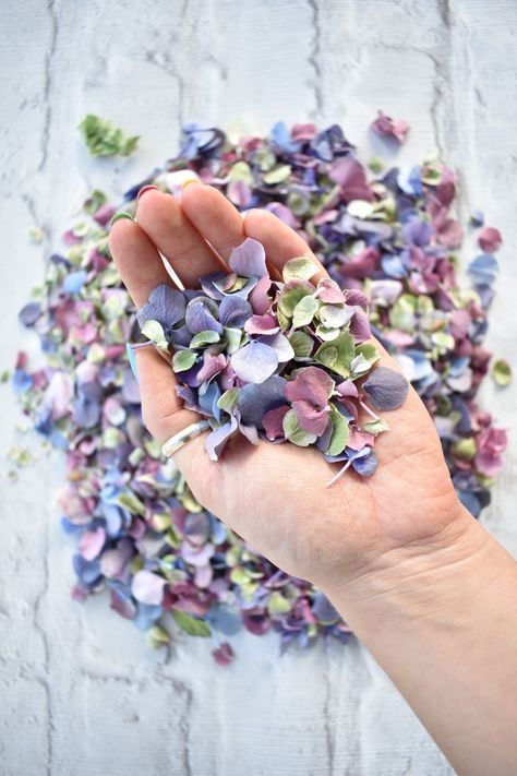 Lilac Pink Green Natural Confetti Natural Confetti Ideas, Natural Confetti Wedding, Diy Flower Confetti, Lilac And Forest Green Wedding, Lilac And Green Wedding, Nature Confetti, Hydrangea Confetti, Confetti Ideas, Lavender Confetti