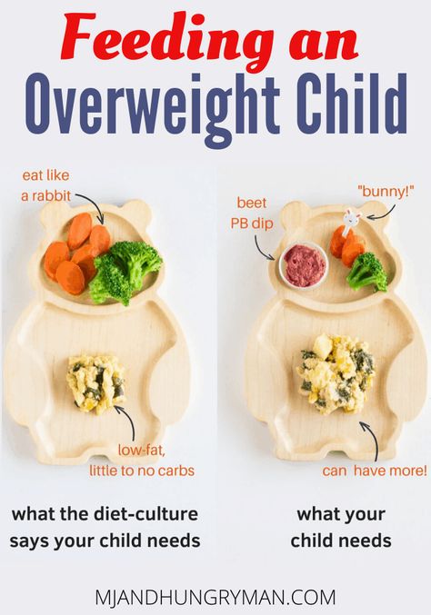 Here are some expert tips on how and what to feed overweight children. Remember, the ultimate goal is health and happiness not weight! Toddler Snack, Weaning Recipes, Kids Healthy, Healthy Lunchbox, Baby Weaning, Lunchbox Ideas, Low Fat Diets, Ideal Weight, Kids Diet