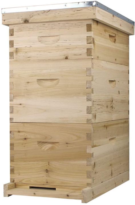 8 Frame Langstroth Hive Dimensions - Complete Beehives Langstroth Hive, Bee Colony, Backyard Beekeeping, Honey Bee Hives, Bee Boxes, Dovetail Joints, Bee Keeping Supplies, Box Package, Dove Tail Joints