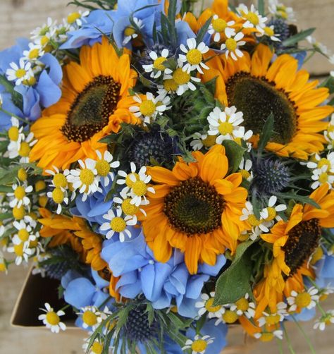 Fall/Autumn Wedding Bouquet Showcasing: Blue Hydrangea, Blue Eryngium Thistle, White/Yellow Chamomile Daisies, Yellow-Orange Sunflowers, Greenery Autumn Wedding Bouquet, Hydrangea Blue, Autumn Wedding, Blue Hydrangea, Wedding Bouquet, Fall Autumn, Hydrangea, Sunflower, Yellow