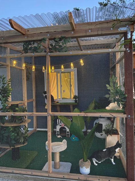 Cat Room Decor, Katt Grejer, Cat Area, Terrasse Design, Cat Patio, Outdoor Cat Enclosure, Cat House Diy, Cat Run, Outdoor Cat House