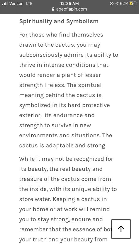 Cactus Spiritual Meaning, Cactus Tattoo Meaning, Cactus Symbolism Meaning, Cactus Meaning, Plant Symbolism, Word Ideas, Tattoos Inspo, Cactus Tattoo, Spiritual Psychology