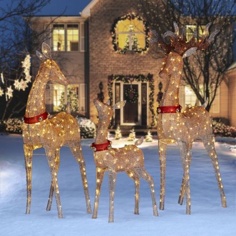 Member's Mark Twinkling Mesh Deer Family, Set of 3 (Brown) - Sam's Club Outdoor Reindeer, Amazon Christmas Decorations, Christmas Deer Decorations, Christmas Lawn Decorations, Outside Christmas Decorations, Christmas Reindeer Decorations, Deer Decor, Deer Family, Reindeer Decorations